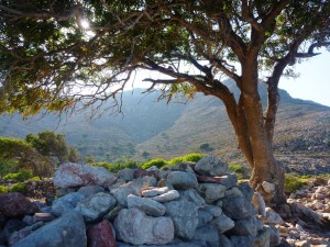 Tilos Dodécanèse