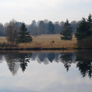 Matin de fagnes