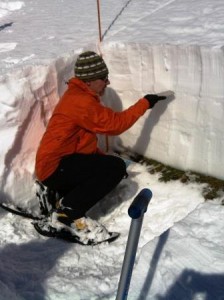 Formation avalanches